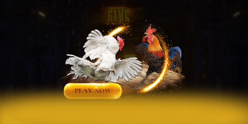 8XBET - Giao dịch tài chính đa dạng phương thức 8XBET - Giao dịch tài chính đa dạng phương thức