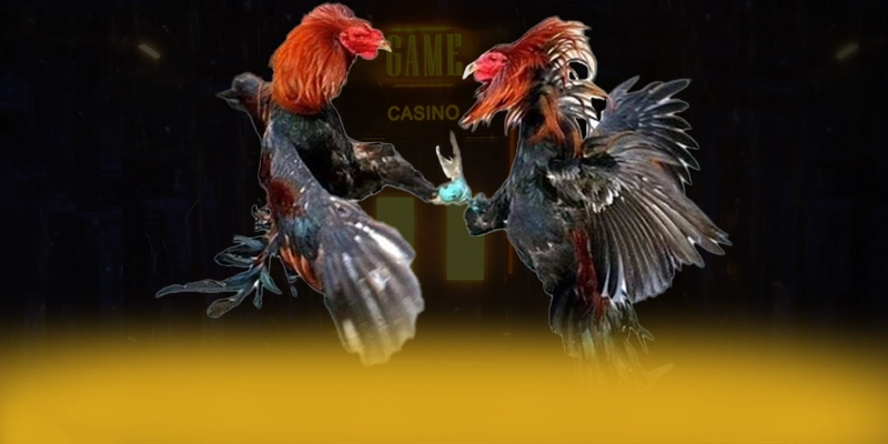 Review chi tiết 8XBET - Nhà cái uy tín chất lượng cao 2026 Review chi tiết 8XBET - Nhà cái uy tín chất lượng cao 2026